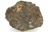 Polished Sericho Pallasite Meteorite (g) - Kenya #232274-2